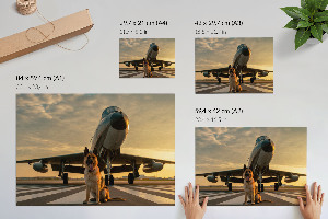 Modern wall art poster The Dog and the Plane