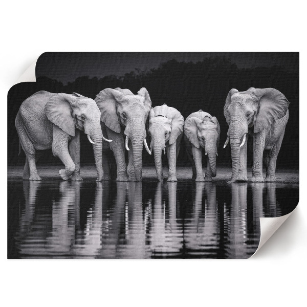 Premium wall art featuring elephants at dusk
