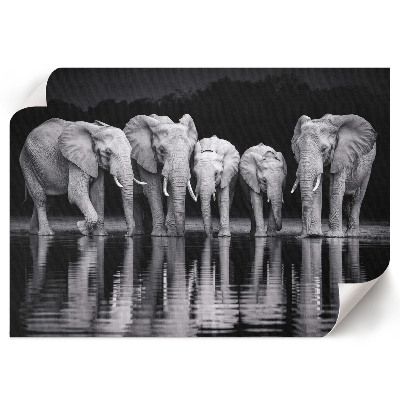 Premium wall art featuring elephants at dusk