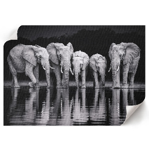 Premium wall art featuring elephants at dusk