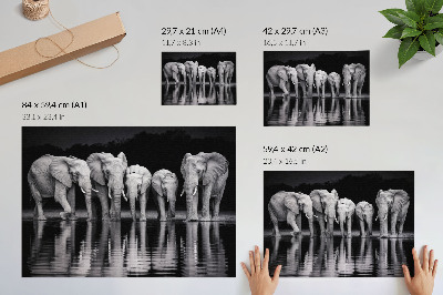 Premium wall art featuring elephants at dusk
