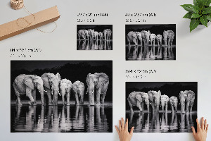 Premium wall art featuring elephants at dusk