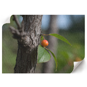 Modern wall art poster depicting fruit on a branch