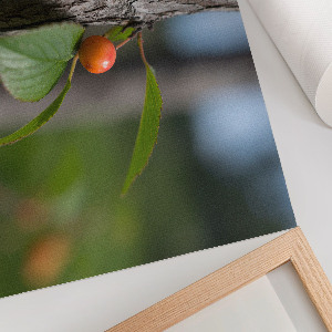 Modern wall art poster depicting fruit on a branch