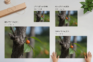 Modern wall art poster depicting fruit on a branch