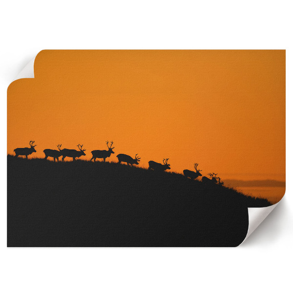 Modern wall art poster featuring a deer on a hill