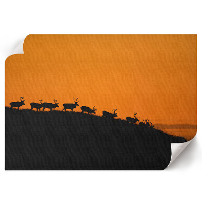 Modern wall art poster featuring a deer on a hill
