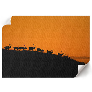 Modern wall art poster featuring a deer on a hill