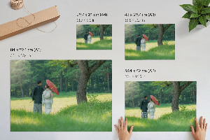Premium wall art depicting a Japanese couple
