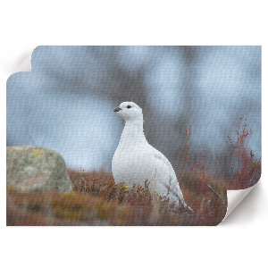 Modern wall art poster Winter landscape