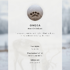 Modern wall art poster Winter landscape