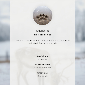 Modern wall art poster Winter landscape