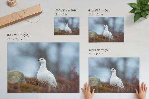 Modern wall art poster depicting a winter landscape