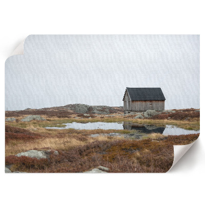 Modern wall art poster showing a house in the middle of nowhere