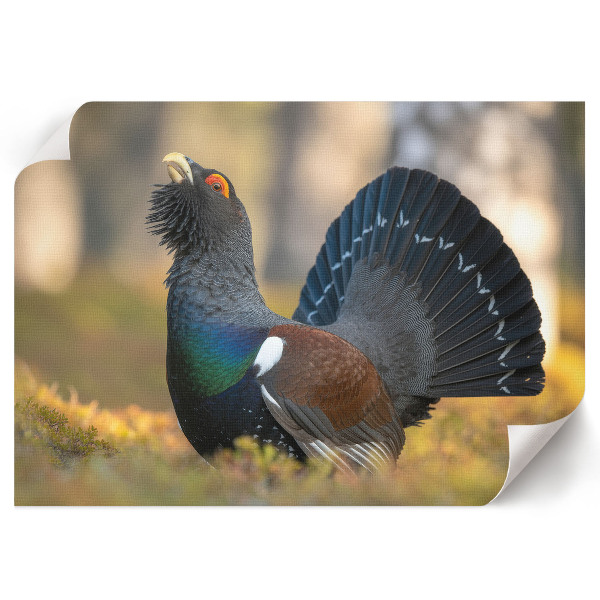 Canvas poster Proud bird