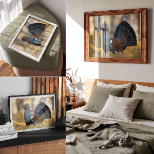 Canvas poster Proud bird