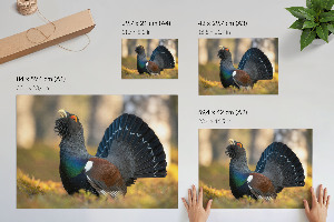 Canvas poster Proud bird