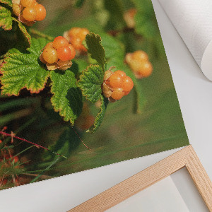 Wall poster featuring forest fruits