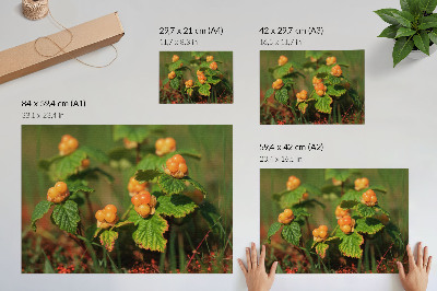 Wall poster featuring forest fruits