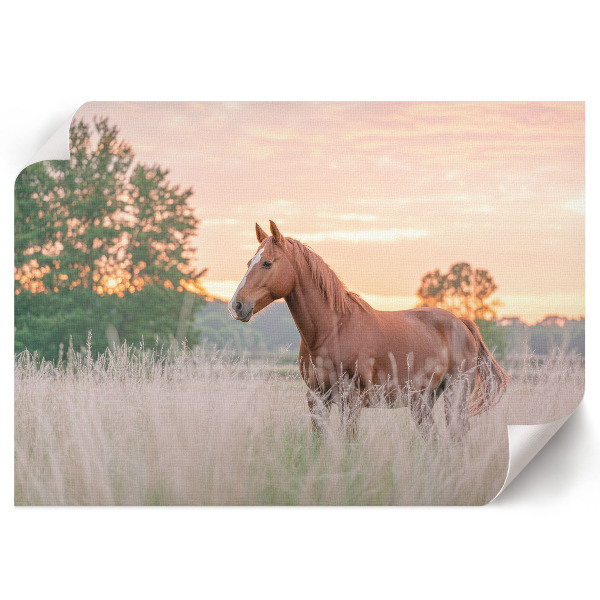 Wall poster Morning calm