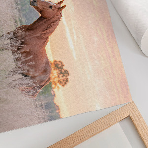 Wall poster Morning calm