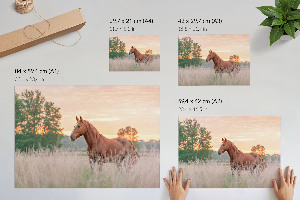 Wall poster Morning calm