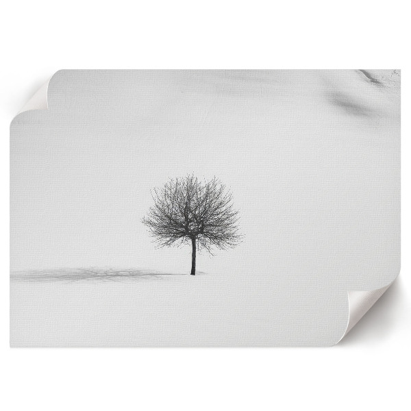 Premium wall art featuring a winter landscape