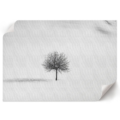 Premium wall art featuring a winter landscape