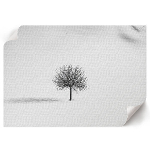 Premium wall art Winter landscape