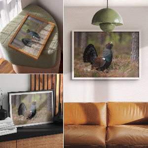 Canvas poster A bird in the forest