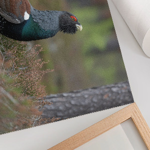 Canvas poster A bird in the forest