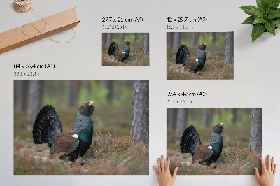 Canvas poster depicting a bird in the forest