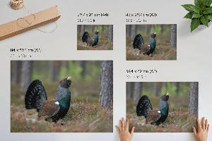 Canvas poster A bird in the forest