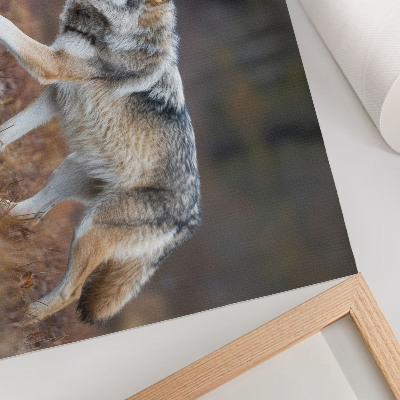 Canvas poster with a wolf in a natural landscape