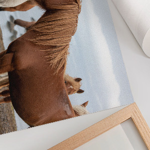 Wall poster showing horses in a landscape