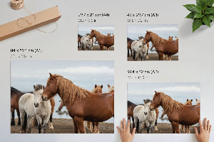 Wall poster showing horses in a landscape