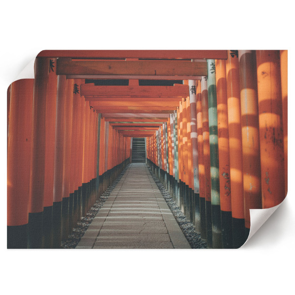 Canvas poster titled "Tunnel in Asia"