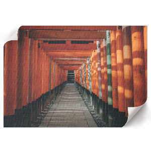 Canvas poster Tunnel in Asia