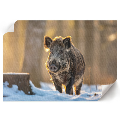 Premium wall art featuring a winter boar