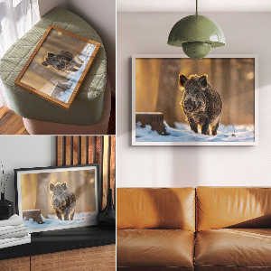 Premium wall art Winter boar