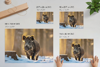 Premium wall art featuring a winter boar