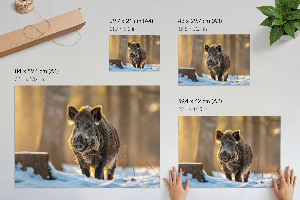 Premium wall art Winter boar