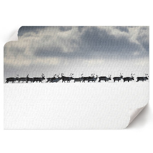 Modern wall art poster Arctic journey