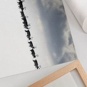 Modern wall art poster Arctic journey