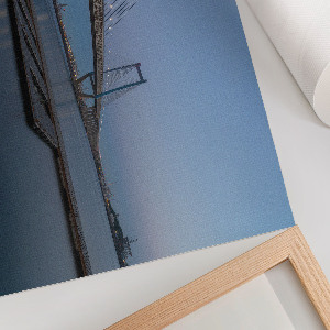 Canvas poster Night Bridge