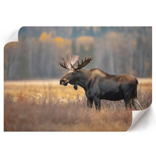Canvas poster Autumn moose