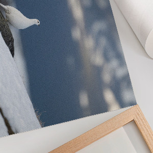 Premium wall art featuring a snowbird motif