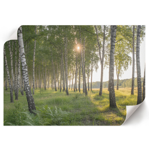 Wall poster Forest peace
