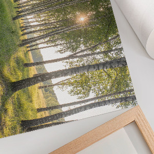 Wall poster Forest peace