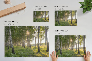 Wall poster Forest peace